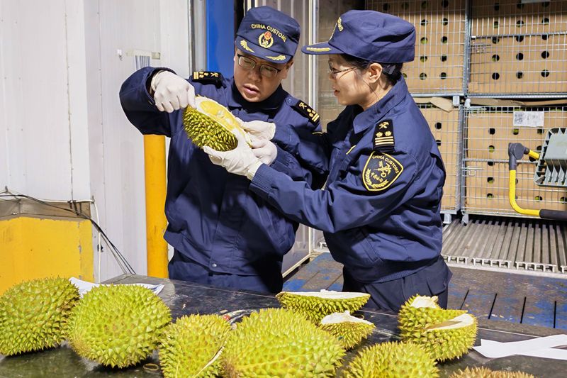 20吨进口鲜榴莲抵连丰富节日“果盘子”