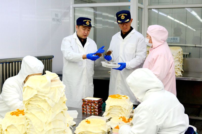 大连冷冻海胆领“鲜”出海